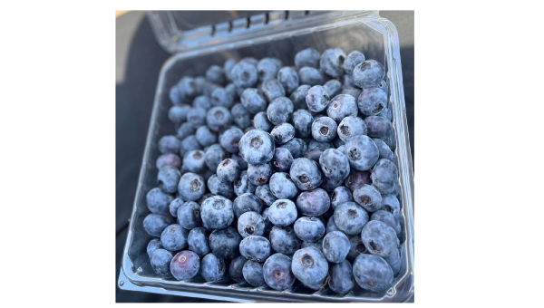 Berry Delicious
